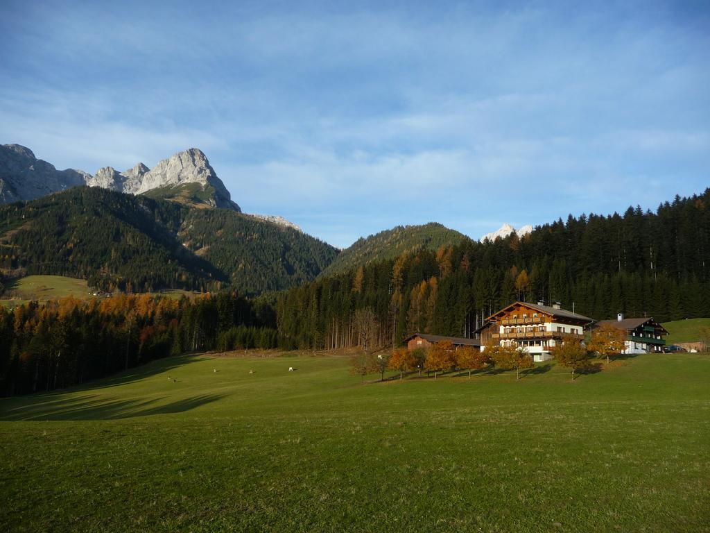 Ginschel * Altenmarkt im Pongau